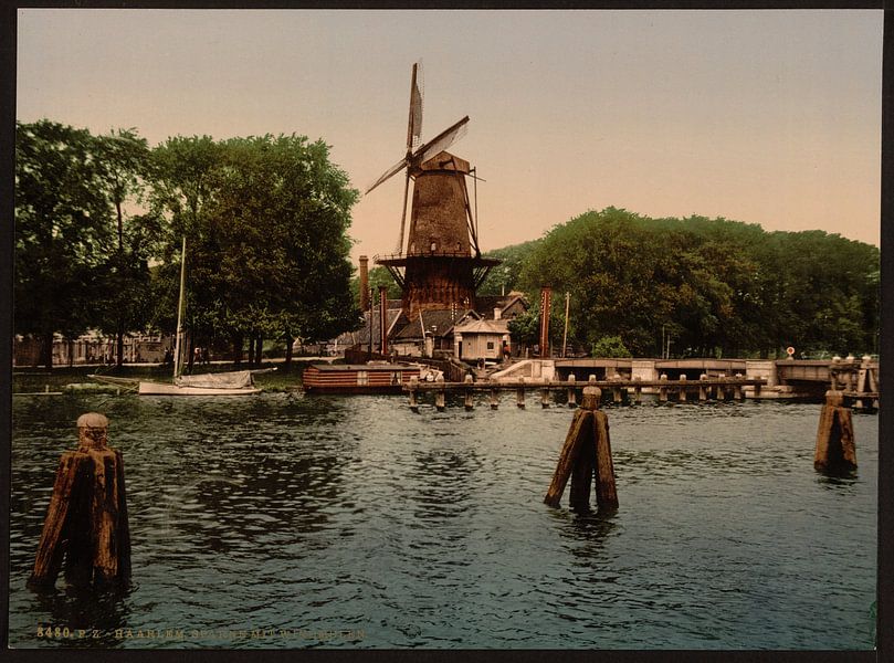 Molen en Spaarne, Haarlem van Vintage Afbeeldingen