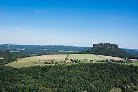 Lily stone by Johann Pavelka