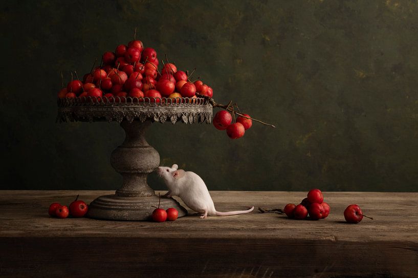 Globe oculaire par Carolien van Schie