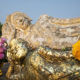 Transience and peace by Walter G. Allgöwer