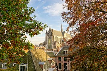 leiden op z'n mooist