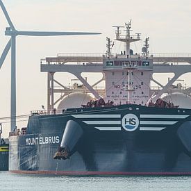 Massengutfrachter Mount Elbrus im Hafen von Rotterdam. von Jaap van den Berg