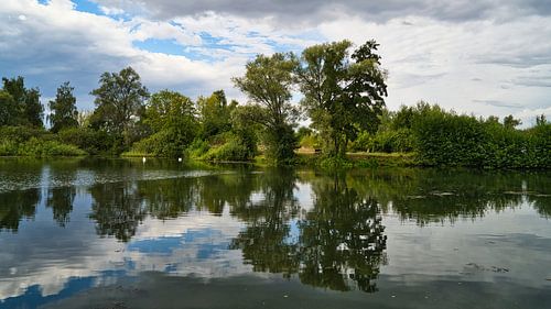 Ein Blick auf einen See bei Allstedt