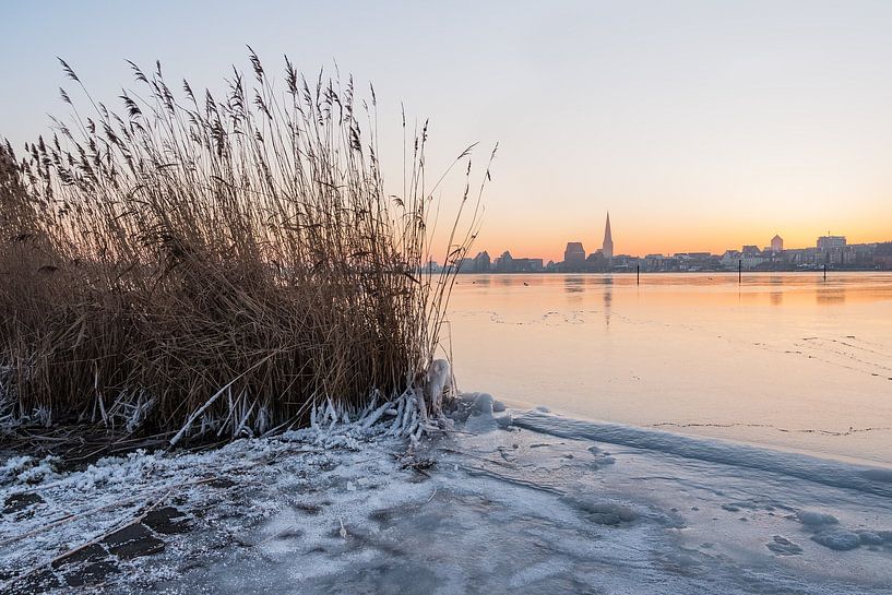 Blick über die Warnow auf Rostock im Winter von Rico Ködder