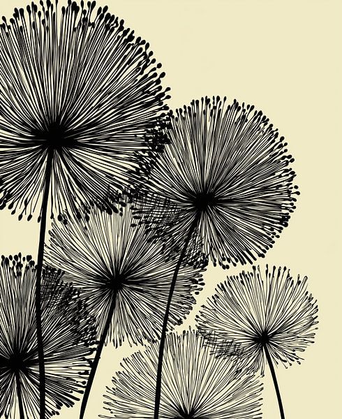 Allium by Bert Nijholt