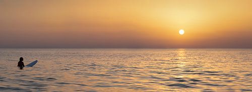 Surfer in the sunset by the sea