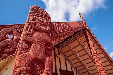 Maori huis in Rotorua, Nieuw Zeeland van Christian Müringer