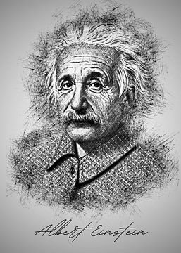 Albert Einstein van Albi Art