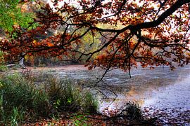 Enchanted forest lake ART 1.0 by Ingo Laue