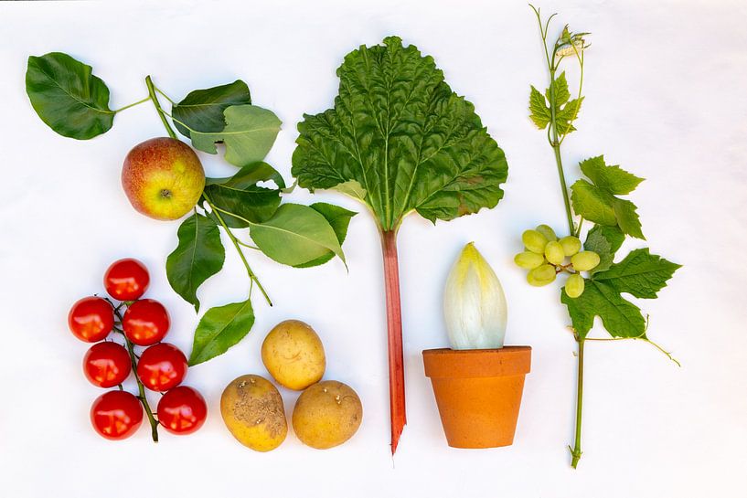 Vers groente en fruit van Hilda Weges