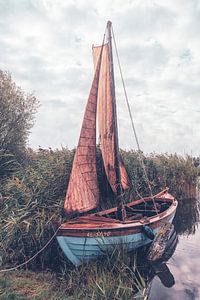 De kleine zeilboot van Daniela Beyer