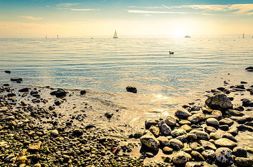 Kiezels aan de oever met zon in het tegenlicht in Immenstaad aan de Bodensee Duitsland