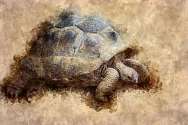 Giant tortoise (art) by Art by Jeronimo