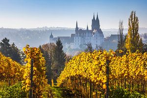 Albrechtsburg und Dom mit Weinlaub