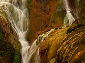 Goldener Wasserfall in Taiwan von Jos Pannekoek Miniaturansicht