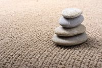 mini Japanese zen garden
