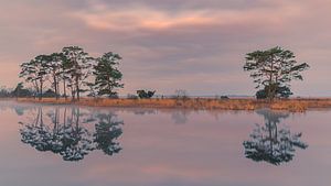 Zonsopkomst in het Nationaal Park Dwingelderveld van Henk Meijer Photography