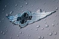 Morgan-Logo mit Regentropfen von Richard Kortland Miniaturansicht
