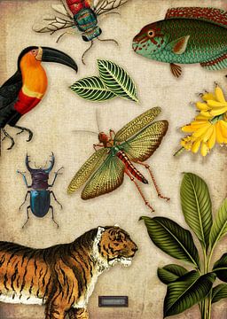 Tropische schoolplaat met vogels, vissen en jungle dieren. van Studio POPPY