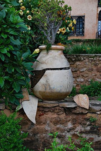 Broken flowerpot by Homemade Photos