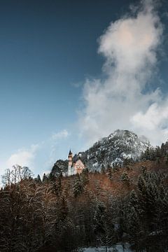 Alpsee | Winter in de Alpen van Nanda van der Eijk