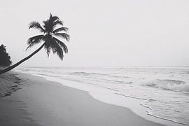 Ruhiges Strandfoto mit Palme von Art & Soul Creations