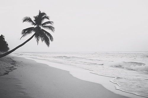 Rustige strandfoto met palmboom