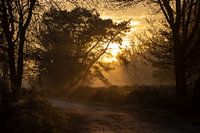 Zonsopkomst
