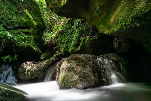 Hallerbachschlucht von Stefan Havadi-Nagy