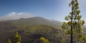 Mirador de Chio