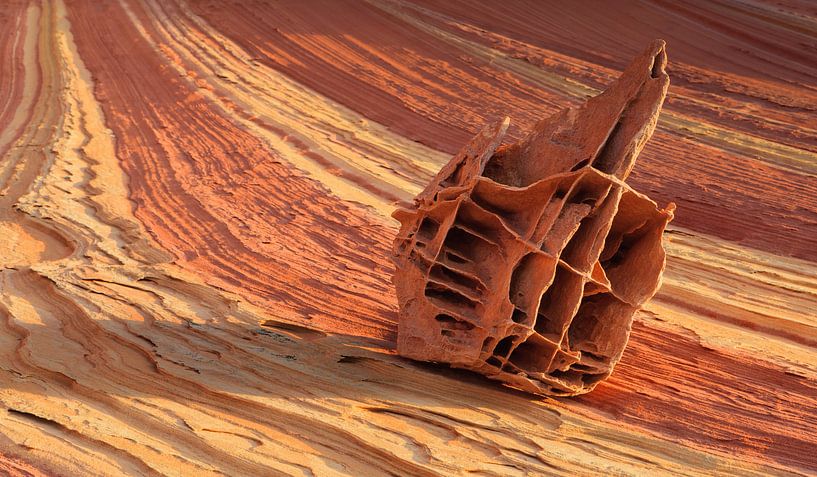 Les buttes du coyote du Nord, Vermillion Cliffs, Arizona par Henk Meijer Photography