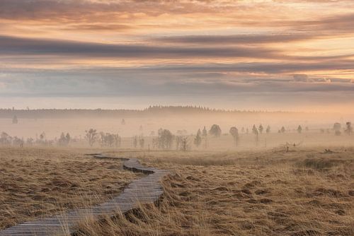 Morning mood in the Hautes Fagnes