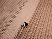 Sowing for a new harvest II