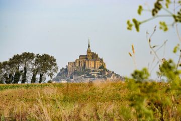 Le Mont Saint-Michel: Nature's Embrace van Ingrid de Vos - Boom