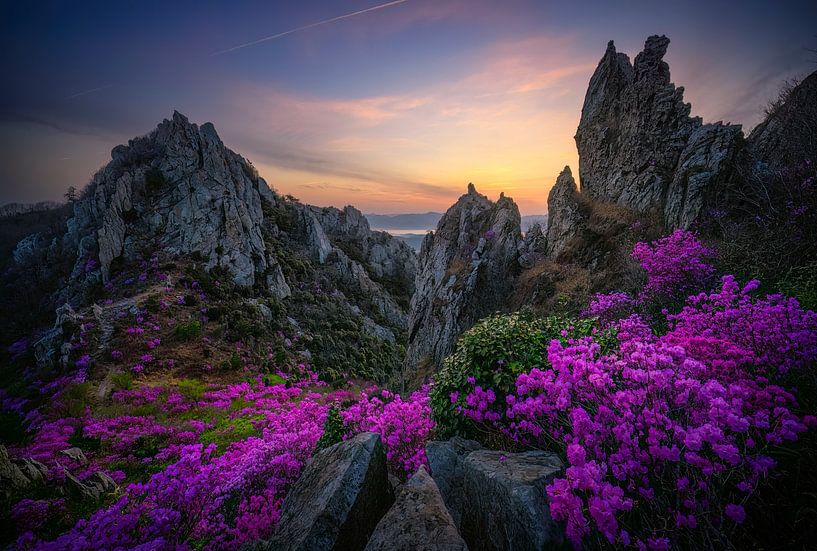 Spring of the top mountain by Tiger Seo
