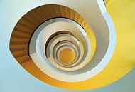 Going in circles  by Sander van der Werf thumbnail
