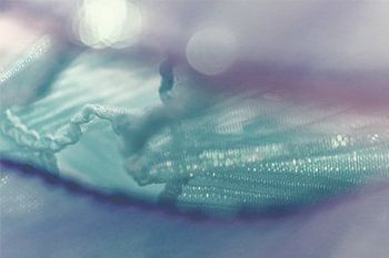 Schimmerhauch – Lichtspiel in Blau und Violett