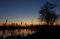 Natural silhouette by A'da de Bruin thumbnail