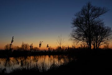 Natuursilhouet van A'da de Bruin