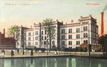 Ziekenhuis aan de Coolsingel in Rotterdam in 1913 op ansicht van Patricia Hofmeester