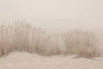 Duingras Beige van Monika Strigel
