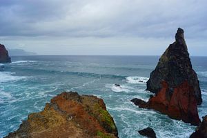 Ponta de São Lourenço, Madeira van Michel van Kooten