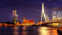 Sstadsgezicht van  de Rotterdam  skyline inclusief de Erasmusbrug