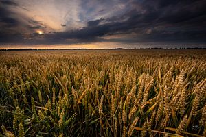 Grange à grains Noordoostpolder sur Martien Hoogebeen Fotografie