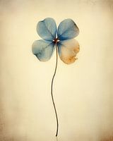 Klavertje vier in blauw