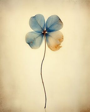 Klavertje vier in blauw van Studio Allee