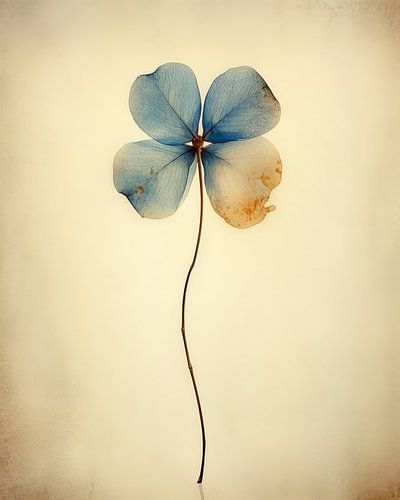 Vierblättriges Kleeblatt in Blau