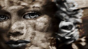 Eyewitness by Alida van Luijn-Toet