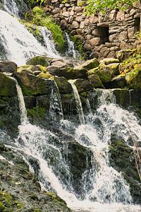 Kleiner Wasserfall im Wald mit Moos auf Steinen