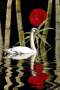 Swan Spell - Blood Moon by Christine Nöhmeier